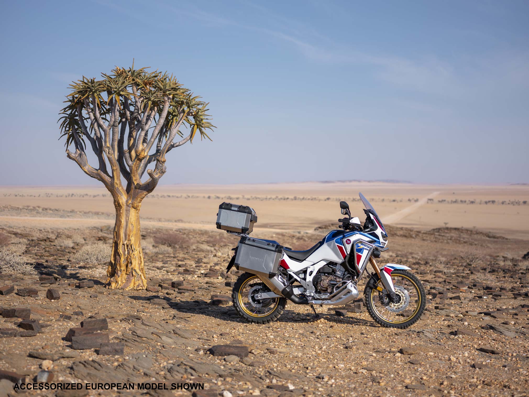 2020 Africa Twin Adventure Sports ES DCT Guide • Total