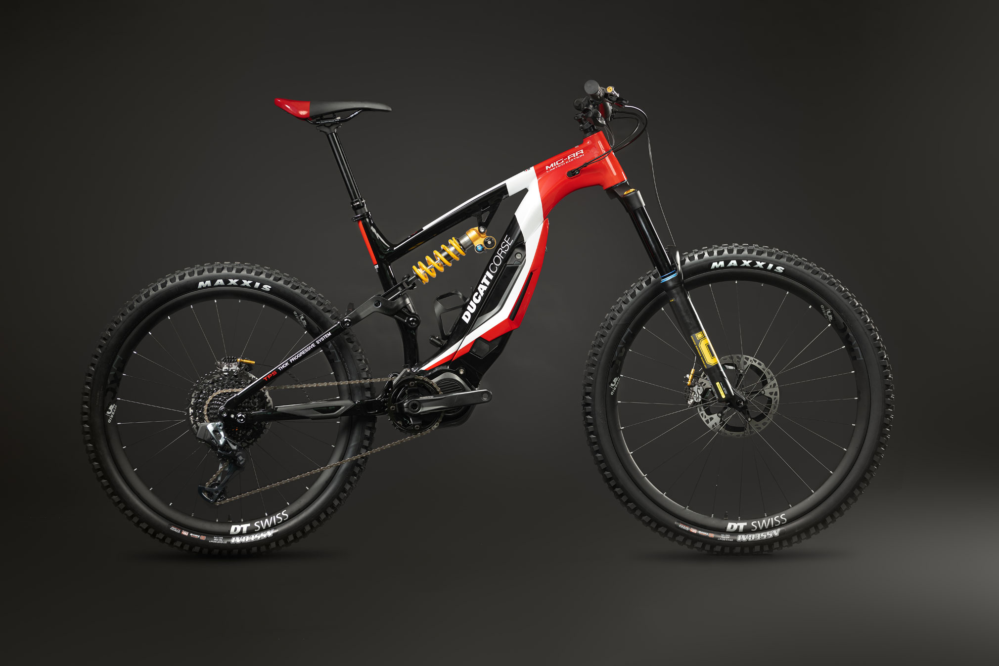 ducati e mountain bike