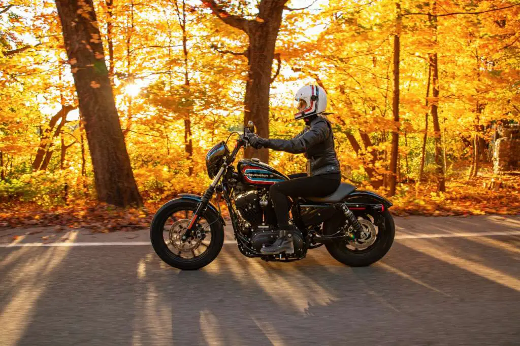 2021 Harley-Davidson Iron 1200