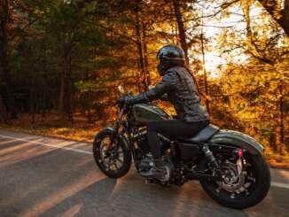 2021 Harley-Davidson Iron 883