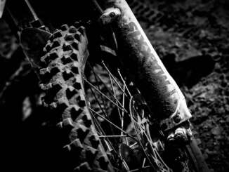 Maxxis Logo