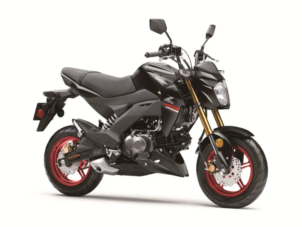 2022 Kawasaki Z125 Pro