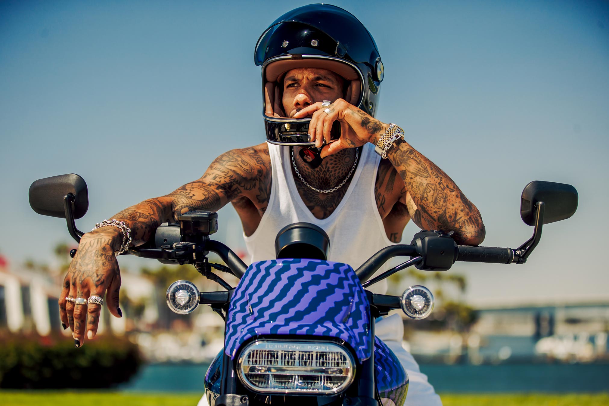 2024 LiveWire Motorcycle Guide • Total Motorcycle