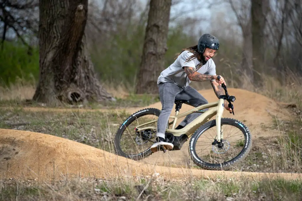 2023 Harley-Davidson Serial1 BASH/MTN