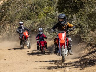 2023 Honda CRF110F