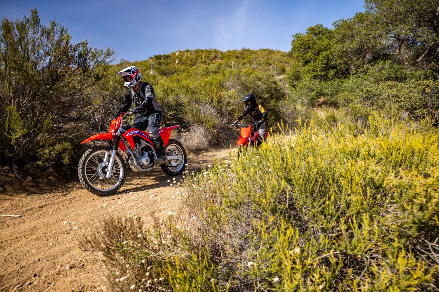 2023 Honda CRF250F Guide • Total Motorcycle