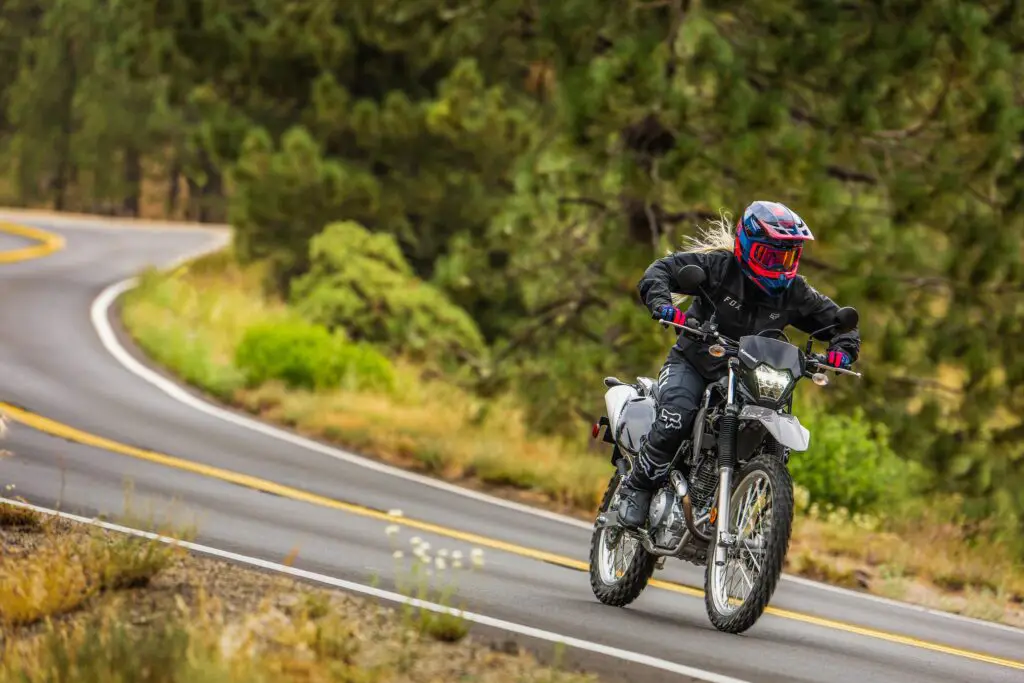 2023 Kawasaki KLX230