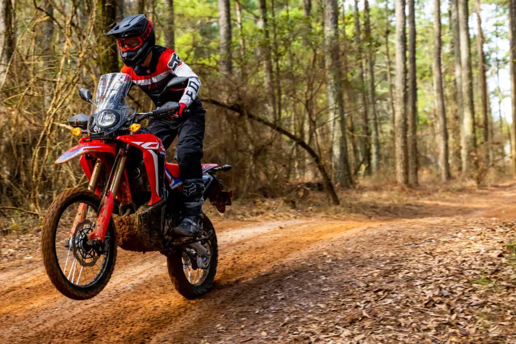 2023 Honda CRF300L Rally