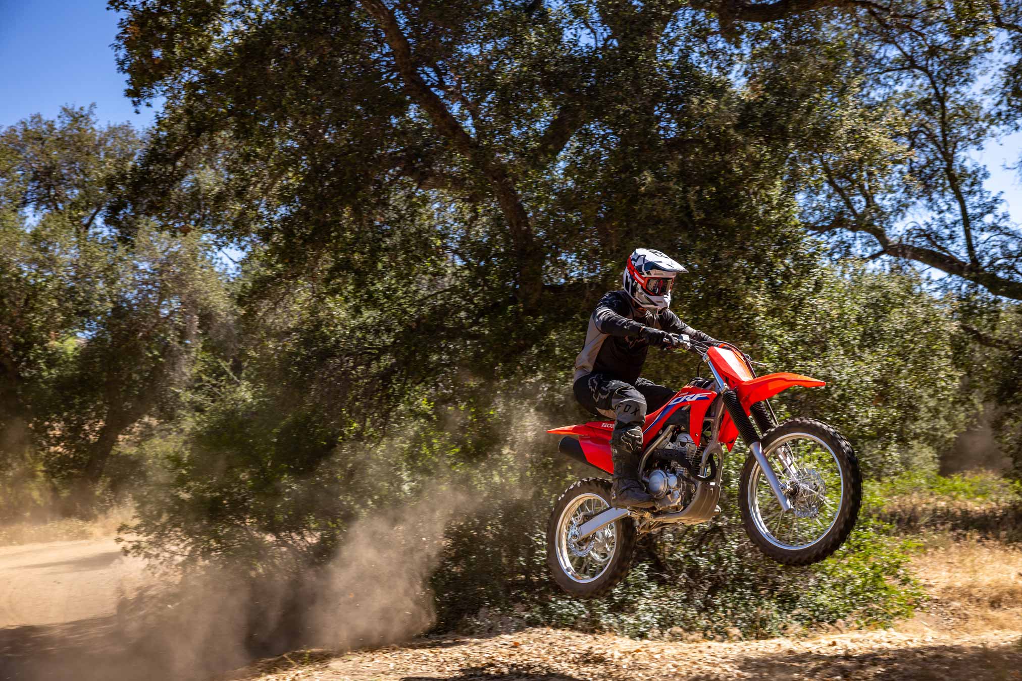2024 Honda CRF250F Guide • Total Motorcycle