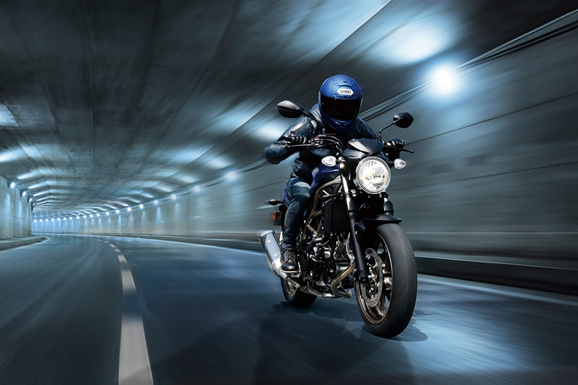 2025 Suzuki SV650 Guide • Total Motorcycle