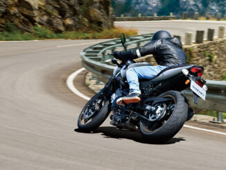 2024 Suzuki SV650X
