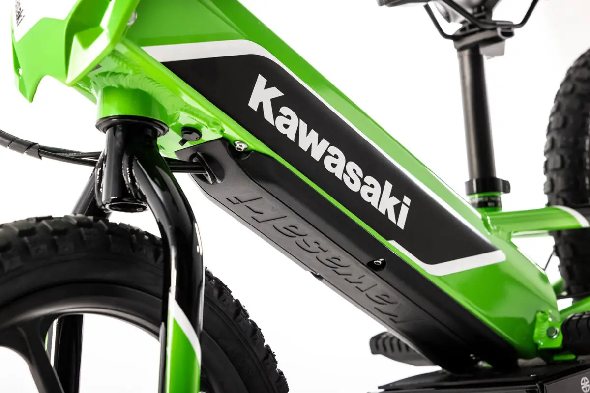 2024 Kawasaki Elektrode