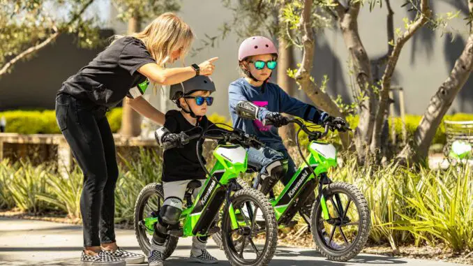 2024 Kawasaki Elektrode