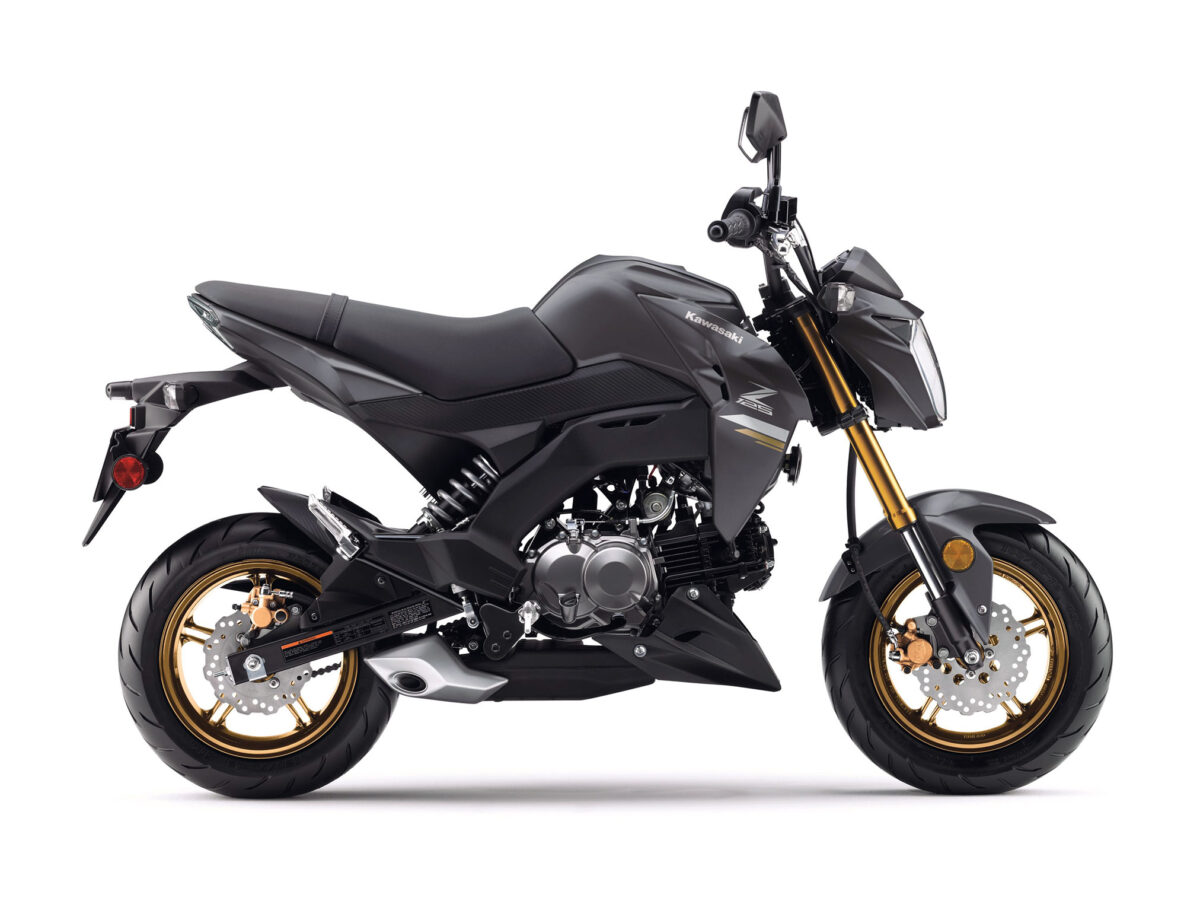 2024 Kawasaki Z125 Pro