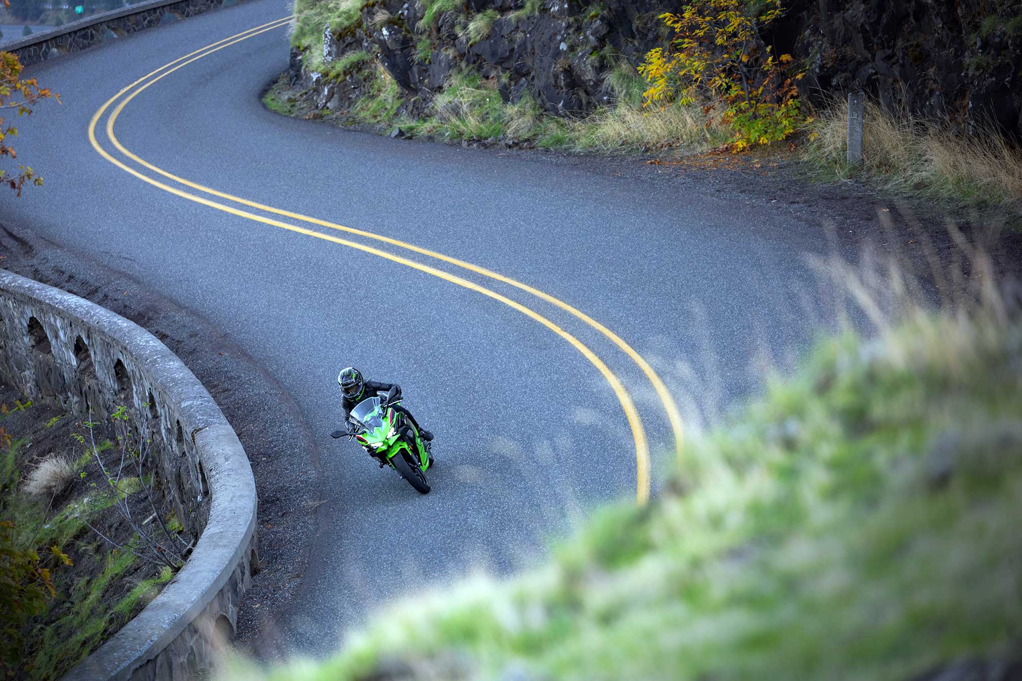 2024 Kawasaki Ninja 500 KRT Edition ABS Guide • Total Motorcycle