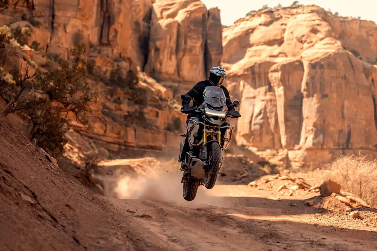2024 Triumph Tiger 1200 Rally Pro