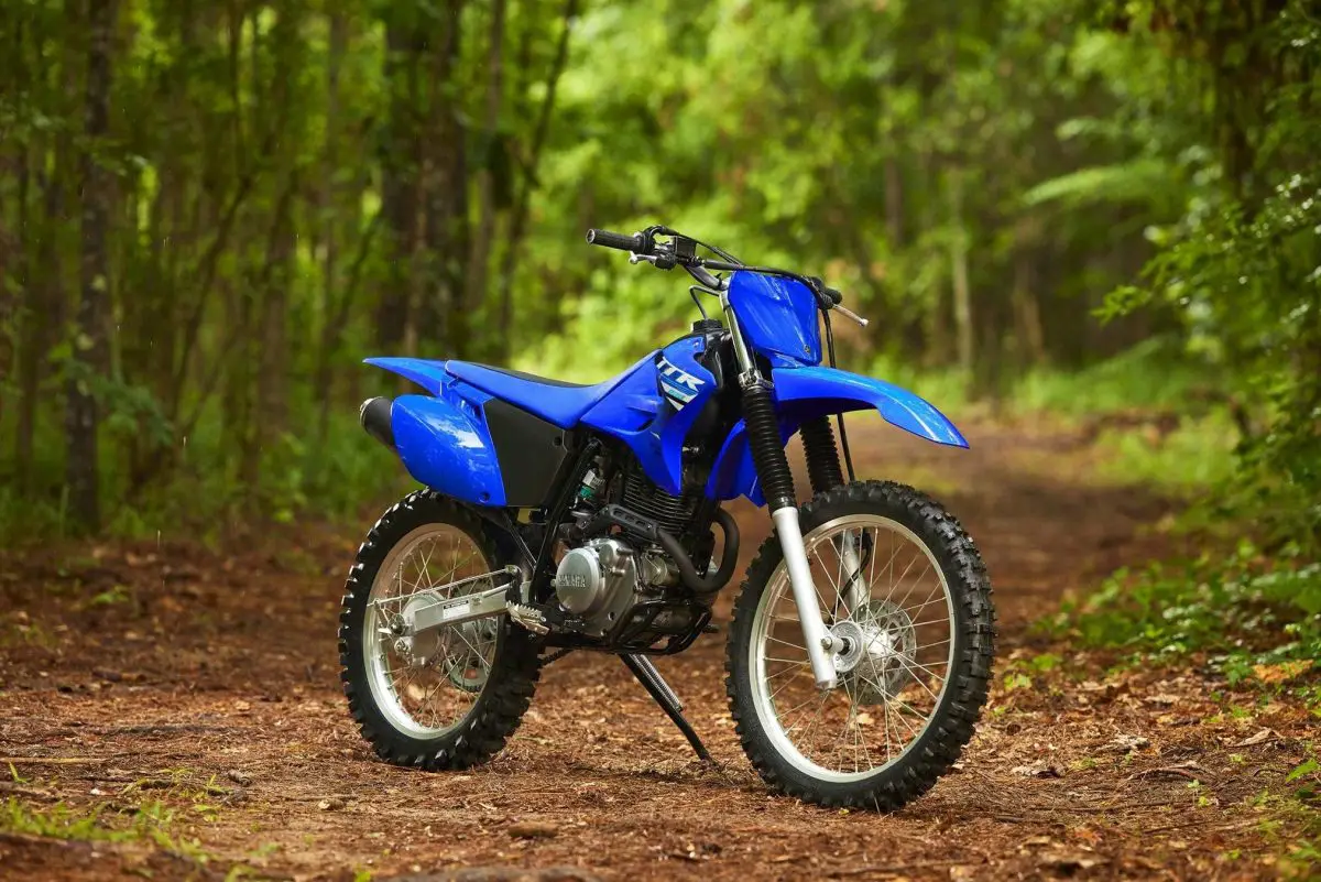 2025 Yamaha TT-R230