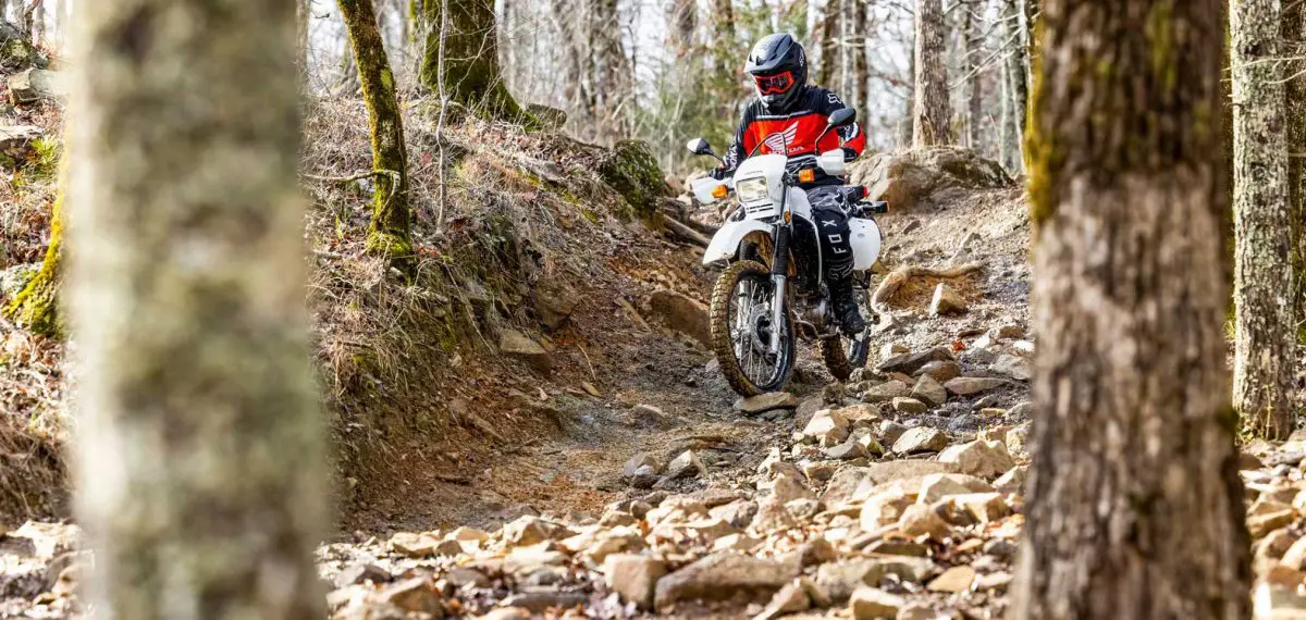 2025 Honda XR650L