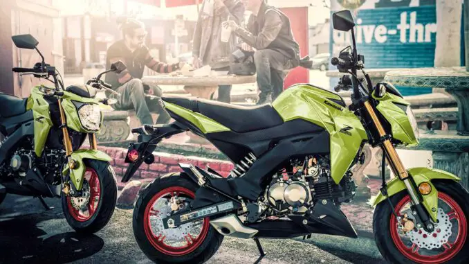 2027 Kawasaki Z125 Pro