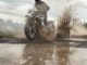 2027 Triumph Tiger 1200 Rally Pro
